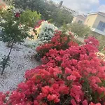 Sea Flower Village *