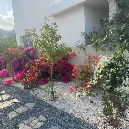 Sea Flower Village