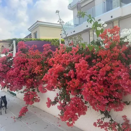 Sea Flower Village Δωμάτια σε οικογενειακή κατοικία *
