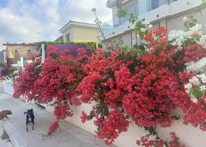 Sea Flower Village Ubytování v soukromí *