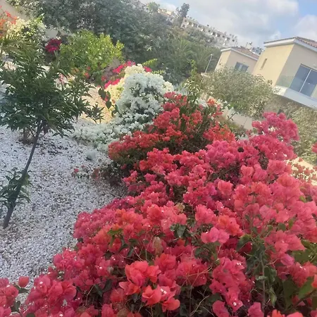 Sea Flower Village *